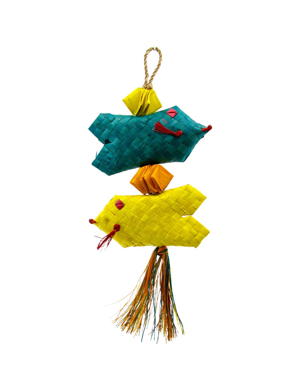 Tropical Fish Mini